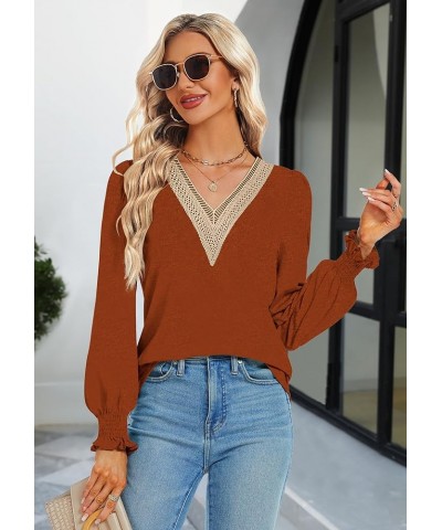 Women's Casual Lace V Neck T Shirts Dressy Smocked Puff Long Sleeve Tops Loose Tunic Blouses Caramel $9.17 Tops