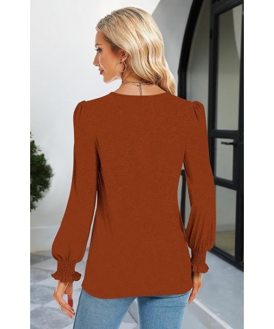 Women's Casual Lace V Neck T Shirts Dressy Smocked Puff Long Sleeve Tops Loose Tunic Blouses Caramel $9.17 Tops