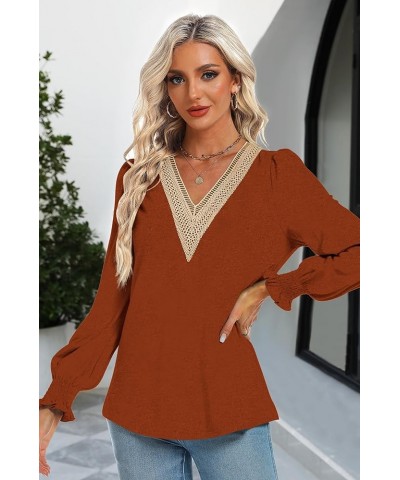 Women's Casual Lace V Neck T Shirts Dressy Smocked Puff Long Sleeve Tops Loose Tunic Blouses Caramel $9.17 Tops