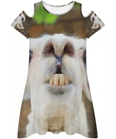 Women Cute Print Summer Cold Shoulder Flowy T-Shirt Dress Sexy Short Dresses Funny Lama Alpaca $10.61 Dresses