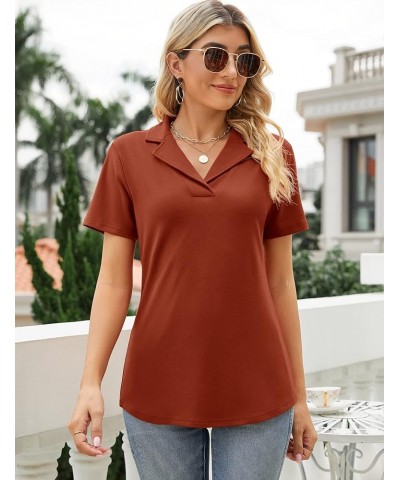 Women's Polo Shirts Lapel Collar V Neck Short Sleeve Blouse Dressy Casual Tunic Tops Caramel $17.39 Shirts