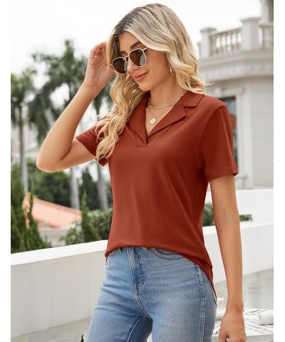 Women's Polo Shirts Lapel Collar V Neck Short Sleeve Blouse Dressy Casual Tunic Tops Caramel $17.39 Shirts