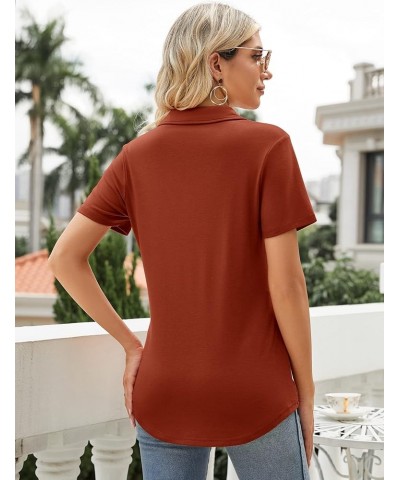 Women's Polo Shirts Lapel Collar V Neck Short Sleeve Blouse Dressy Casual Tunic Tops Caramel $17.39 Shirts