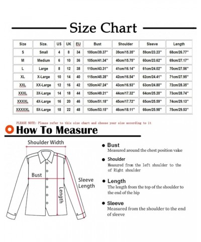 Long Sleeve Shirts for Women Color Block Patchwork Shirt Crewneck Loose Fit Blouse Plus Size Dressy Casual Tunic Tops 05light...