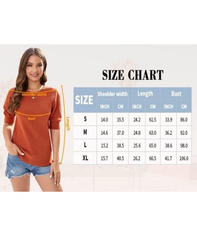 Womens Puff Short Sleeve Sweater Tops Summer Soft Crewneck Pullover Shirt Lightweight Cable Knit Blouse Picture $19.19 Sweaters