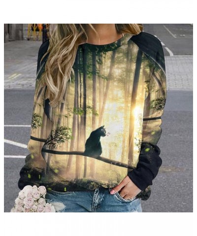 Cat Sweatshirts for Women Plus Size Novelty Funny Graphic Sweatshirts Crewneck Long Sleeve Trendy Cute Kitty Pullover Cat_ Su...