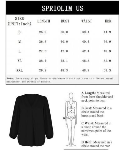 Women's Long Sleeve V Neck Shirt Dressy Pleated Top Casual Loose Chiffon Blouses A Black $16.63 Blouses